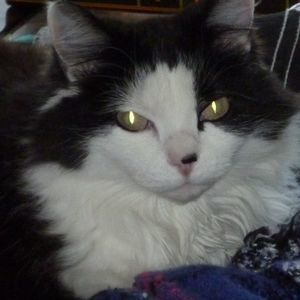 Meet your Posher, Larry